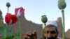Afghan Official Urges Aerial Spraying Of Opium Poppies
