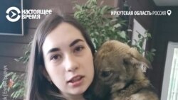 Собак бросили при наводнении в Иркутской области. Их спасают волонтеры Собак бросили при наводнении в Иркутской области. Их спасают волонтеры