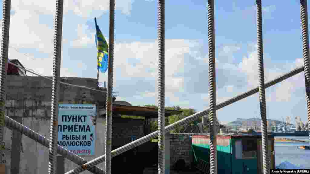 Теперь, судя по всему, «Волна революции» скупает рыбу и рапаны у населения под флагом партии «ЛДПР»