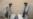UN Food Agency Races To Prevent Afghan Crisis