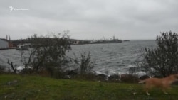 З українським прапором: у порту Очакова зустрічають захоплені Росією кораблі (відео) З українським прапором: у порту Очакова зустрічають захоплені Росією кораблі (відео)