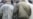 Opposition Activists Imprisoned In Belarus