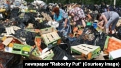 Local residents collecting "banned" fruits in Smolensk region