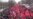 Moldova Protests Continue As Crisis Mounts