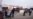 Во Владикавказе прошел митинг врачей и водителей