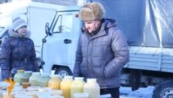 Татарстан умартачылары: "Доллар үсә, бал бәясе төшә" Татарстан умартачылары: "Доллар үсә, бал бәясе төшә"