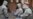 New Zealand Probes Russian Ex-Spy's Poisoning Claims