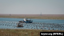 Поселок Новоозерное на Донузлаве, иллюстративное фото