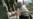 Pattern Emerges As Ossetia Burns
