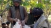 Afghan Insurgent Tolls Not Needed, U.S. Military Says
