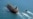 South Korea To Send Delegation To Iran Over Tanker Seizure