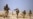 NATO: Assault Disrupts Taliban Leadership