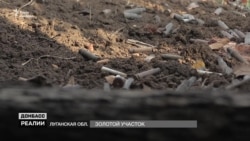 Почему Зеленский добивается встречи с Путиным? (видео) Почему Зеленский добивается встречи с Путиным? (видео)