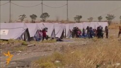 Iraqi Shi'ite Turkomans Flee Rebel-Controlled City Iraqi Shi'ite Turkomans Flee Rebel-Controlled City