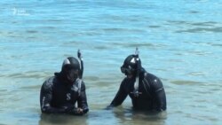 В Черном море тренировались украинские нацгвардейцы-подводники (видео) В Черном море тренировались украинские нацгвардейцы-подводники (видео)