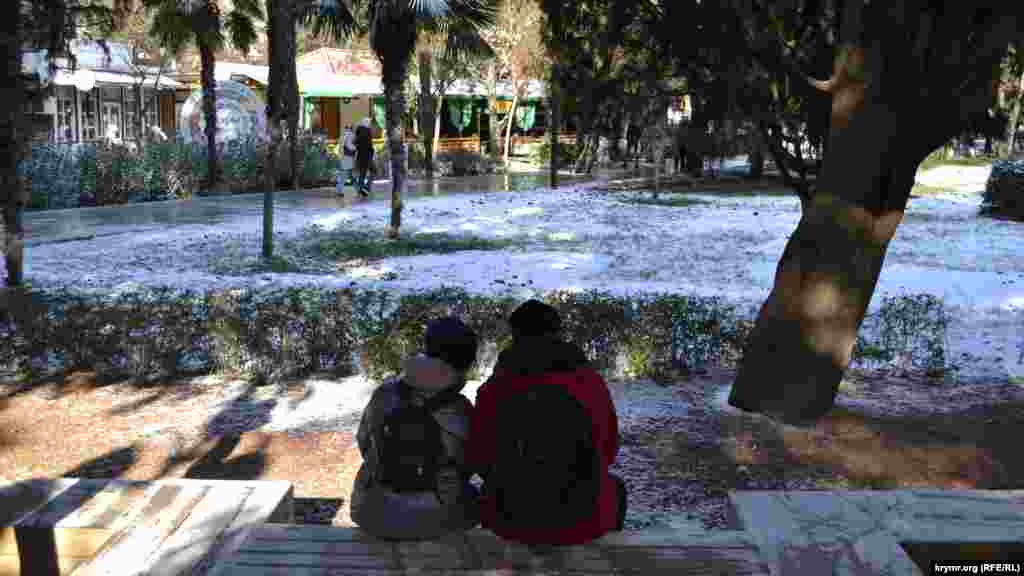 Немногочисленные туристы любуются таким редким для Ялты зрелищем – тропические пальмы, укрытые снежными одеялами