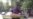 16x9 Image