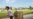 North Koreans Fleeing In Rising Numbers
