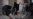 Iran State TV Says 10 Dead In Clashes
