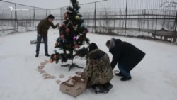 В крымском парке львов «Тайган» устроили новогодний утренник для тигрят (видео) В крымском парке львов «Тайган» устроили новогодний утренник для тигрят (видео)