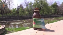 Нетрезвый полуостров (видео) Нетрезвый полуостров (видео)