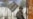 Prison Unrest Highlights Other Problems