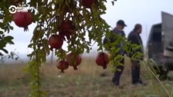«Мы теперь мигранты»: армяне покидают территории Карабаха (видео) «Мы теперь мигранты»: армяне покидают территории Карабаха (видео)