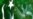 Pakistani Secular Leaders Alarmed By U.S. Afghan-Withdrawal Plans