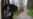16x9 Image
