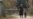 Pankisi Teen Reportedly Threatened After Refusing To Join IS In Syria