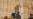 U.S. Says Afghan Government Must Build Up Authority