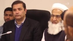 د ګوزڼ ضد کارکوونکي وژل د اسلام ضد عمل دی د ګوزڼ ضد کارکوونکي وژل د اسلام ضد عمل دی
