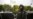 Ukraine Reports Escalation Of Attacks On Eve Of Presidential Vote