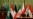 Iraq | Baghdad conference a good beginning, government says