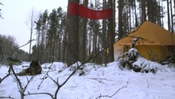 Хранители леса Хранители леса