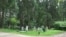 Лесное (Waldfriedhof) кладбище в Мюнхене