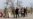 Что будет делать «Аскер» на админгранице с Крымом?