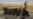 Syria Refugee Problem 'Acute'