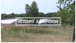 У Берліні побудували найбільшу міську ферму в Європі (відео) У Берліні побудували найбільшу міську ферму в Європі (відео)