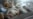 In Afghanistan, Worried Mother Of Sextuplets Gets Help
