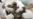 Bosnia-Herzegovina: Coming To Grips With The UN's Failure At Srebrenica