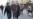 Serbian Nationalists Protest RFE/RL Use Of Serbia, Kosovo Maps