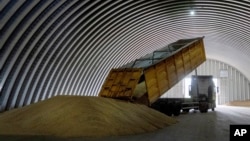 A dump truck unloads grain at a granary in the village of Zghurivka, Ukraine.
