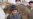 Students In Tatarstan Want Muslim Holiday Observed