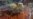 16x9 Image