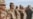 U.S. Iraq Report Draws Cautious Praise