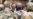 Global Leaders Praise Syria Deal
