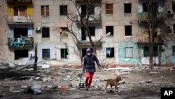 A man walks with his dog near an apartment building damaged by shelling from fighting on the outskirts of Mariupol in southern Ukraine.