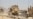 Suicide Attack Foiled In Kabul Raid
