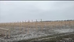 Cтроительство китайских теплиц в Крыму (видео) Cтроительство китайских теплиц в Крыму (видео)